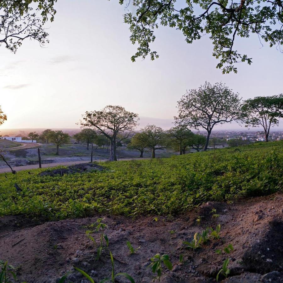 En Venta Terreno en Manta Urbanización Costa del Este, Manabí — imagen 5