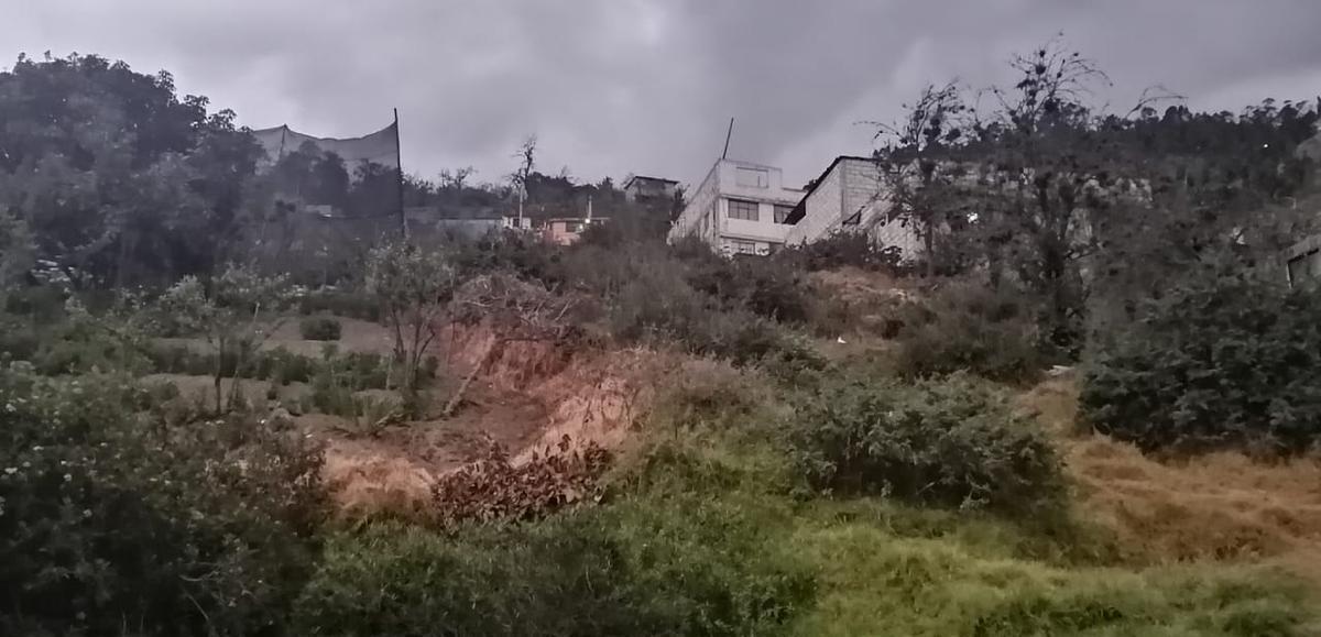 Macrolote en Venta en Ficoa de 7425 m², Tungurahua — imagen 8