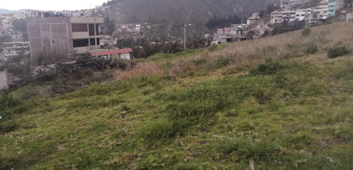 Macrolote en Venta en Ficoa de 7425 m², Tungurahua — imagen 7