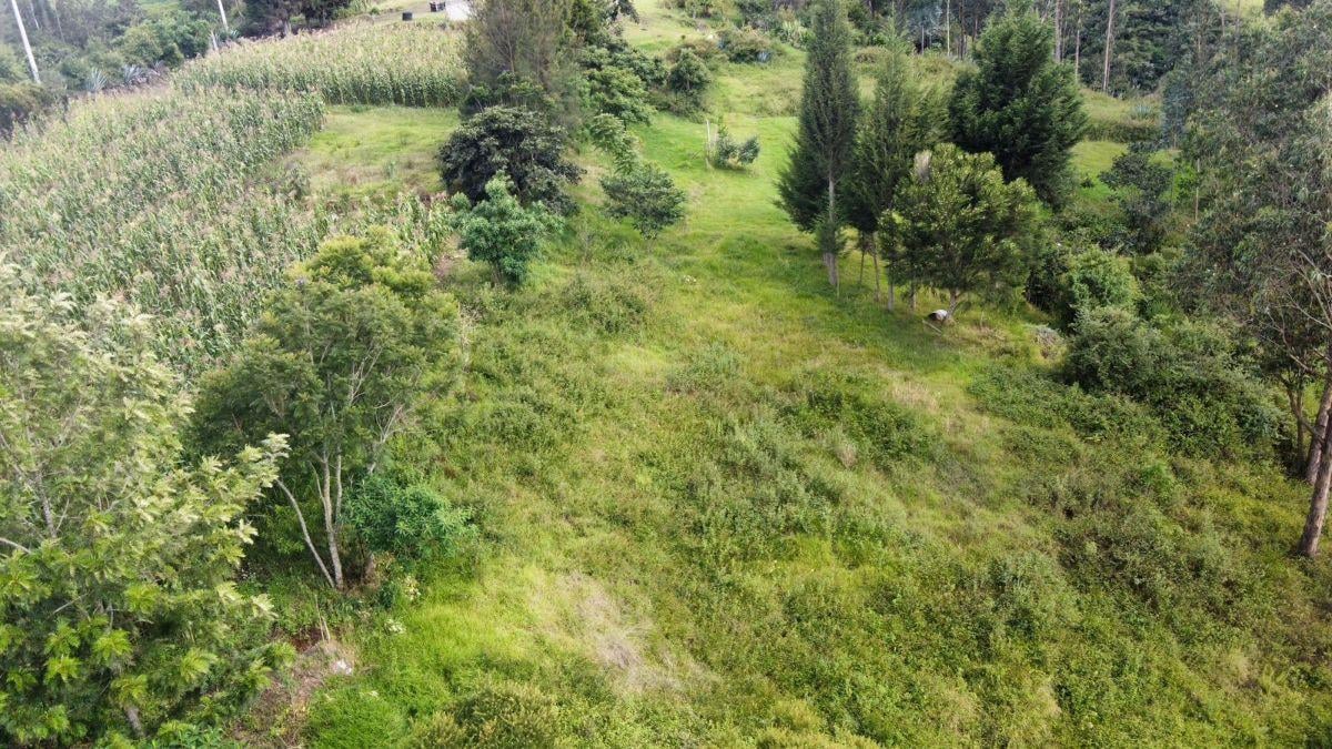 Vente Terreno de 2360 m² en Itulcachi — imagen 7