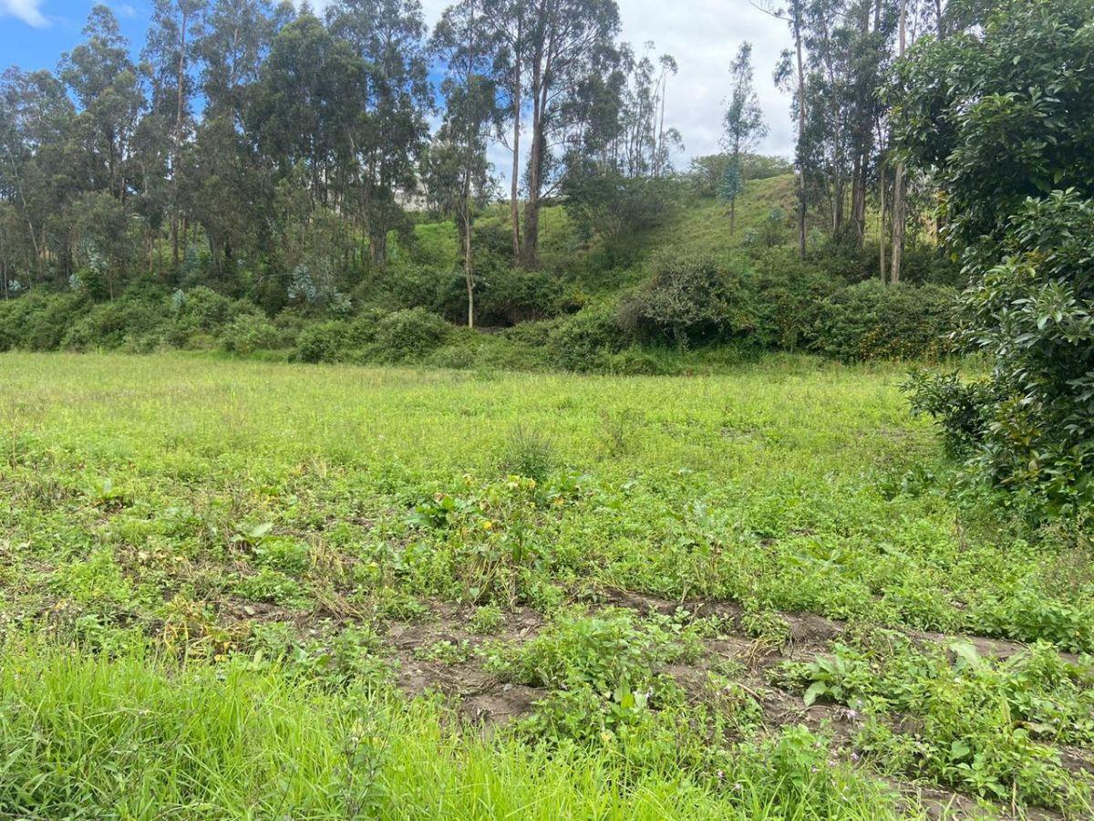 Vendo 10.902 m de Terreno Plano! en Puembo — imagen 8