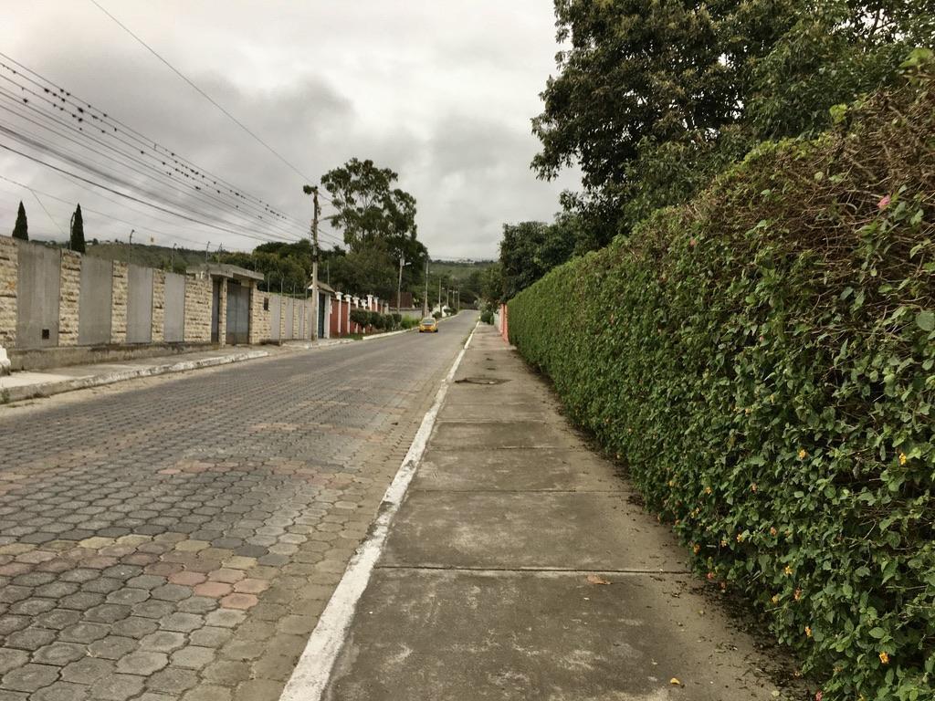 Jal. Venta de Terreno Guayllabamba 5.000 m², Abundante Agua y Árboles Frutales — imagen 9