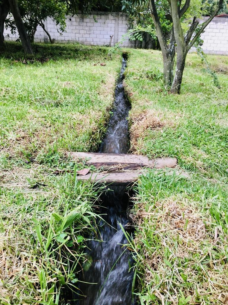 Jal. Venta de Terreno Guayllabamba 5.000 m², Abundante Agua y Árboles Frutales — imagen 7