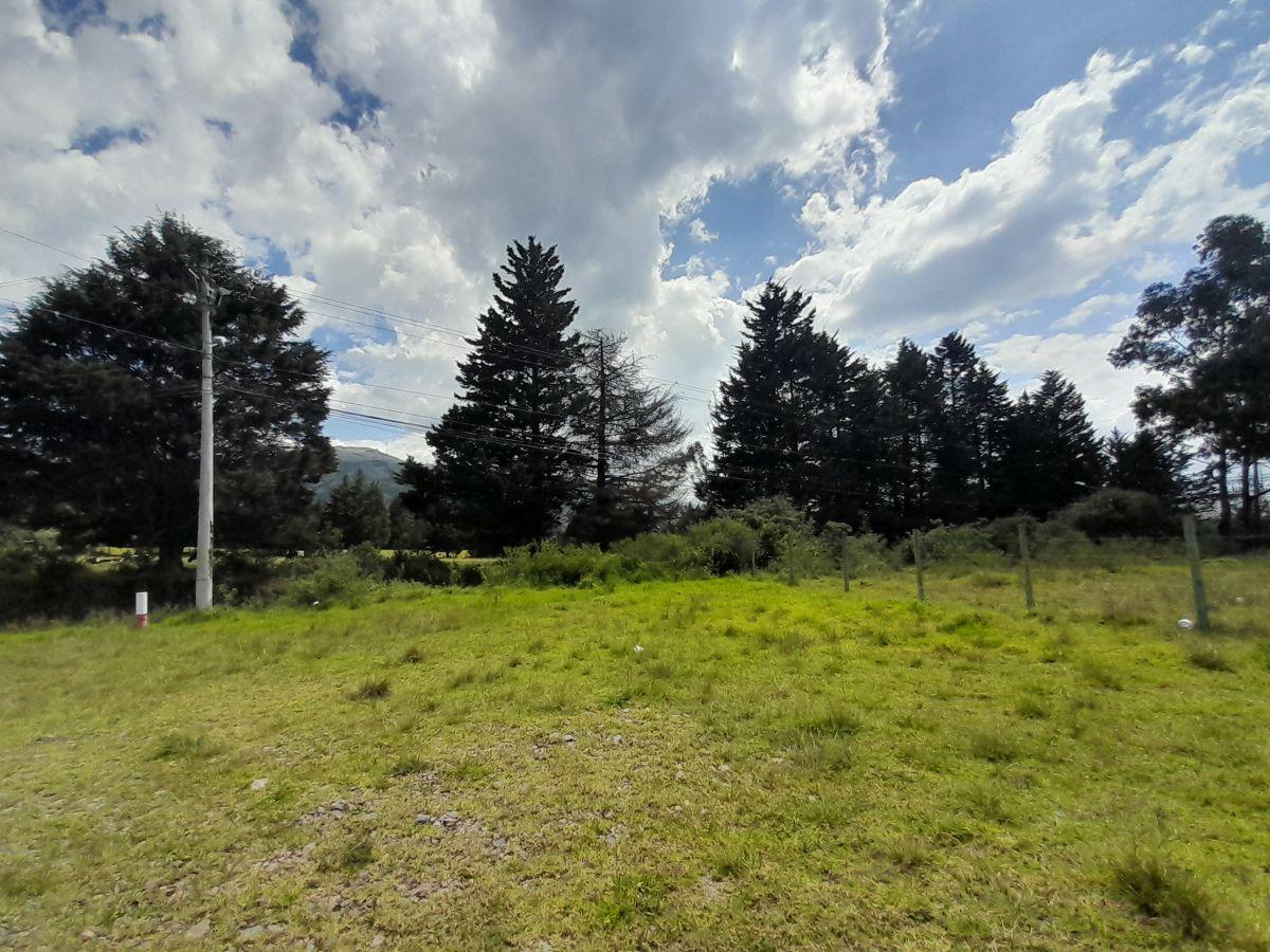 Vendo Terreno 95.712 m² en El Inga Alto — imagen 3