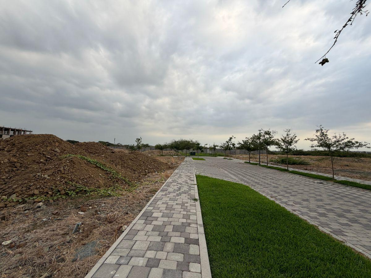 En Venta Terreno Exclusivo en Cantabria, Isla Mocoli, Samborondon L. Torres, Guayas — imagen 9