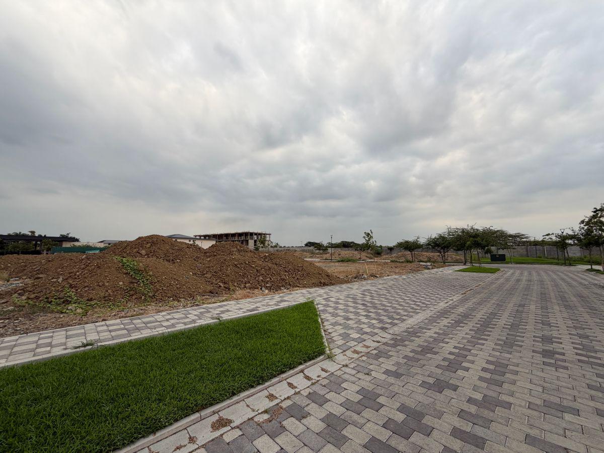 En Venta Terreno Exclusivo en Cantabria, Isla Mocoli, Samborondon L. Torres, Guayas — imagen 8