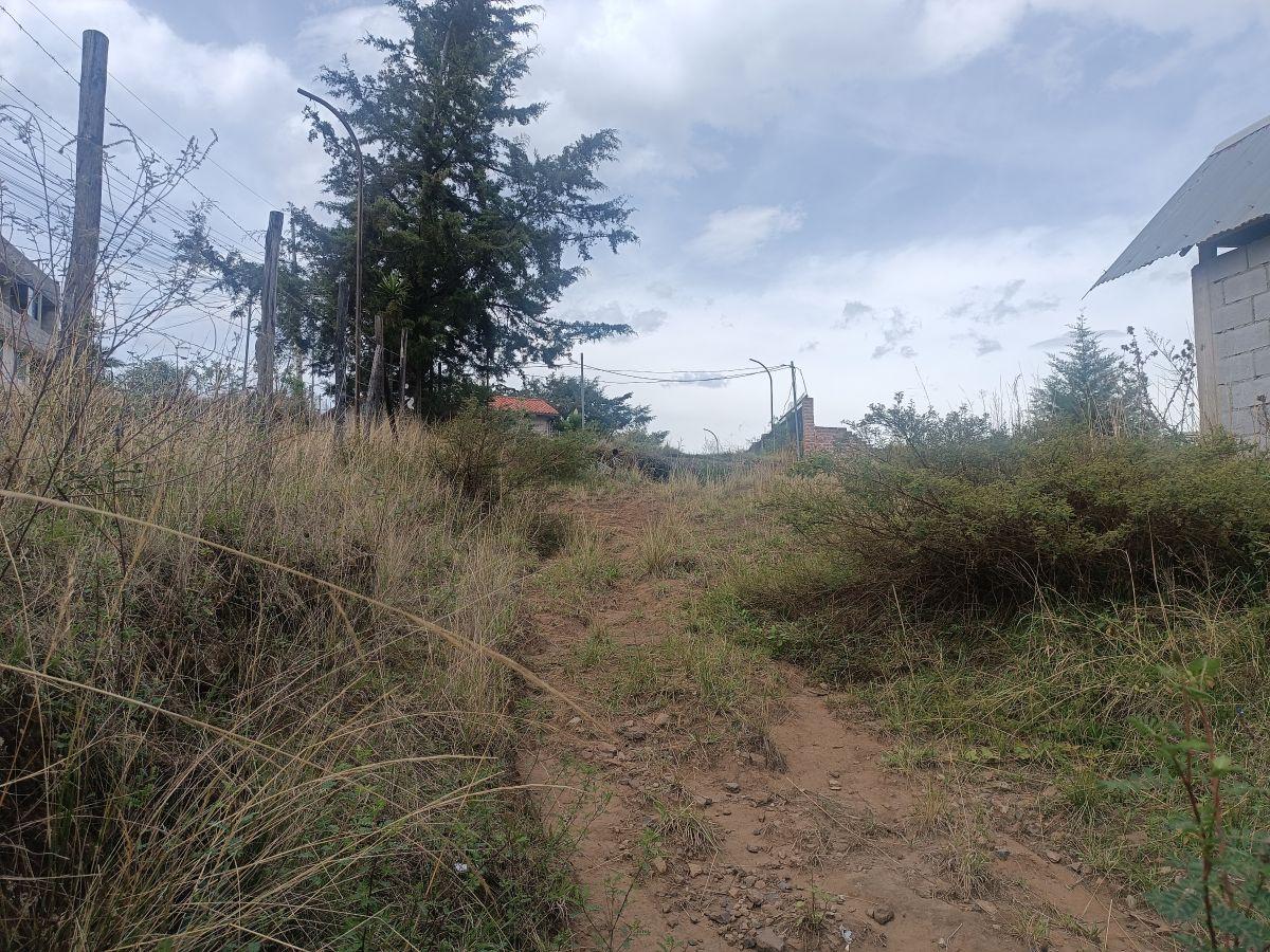 Vendo Terreno de 1000 m en La Isla Yaruqui — imagen 10