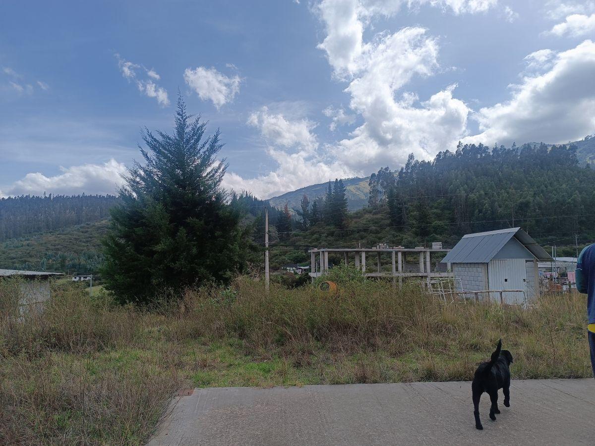Vendo Terreno de 1000 m en La Isla Yaruqui — imagen 9