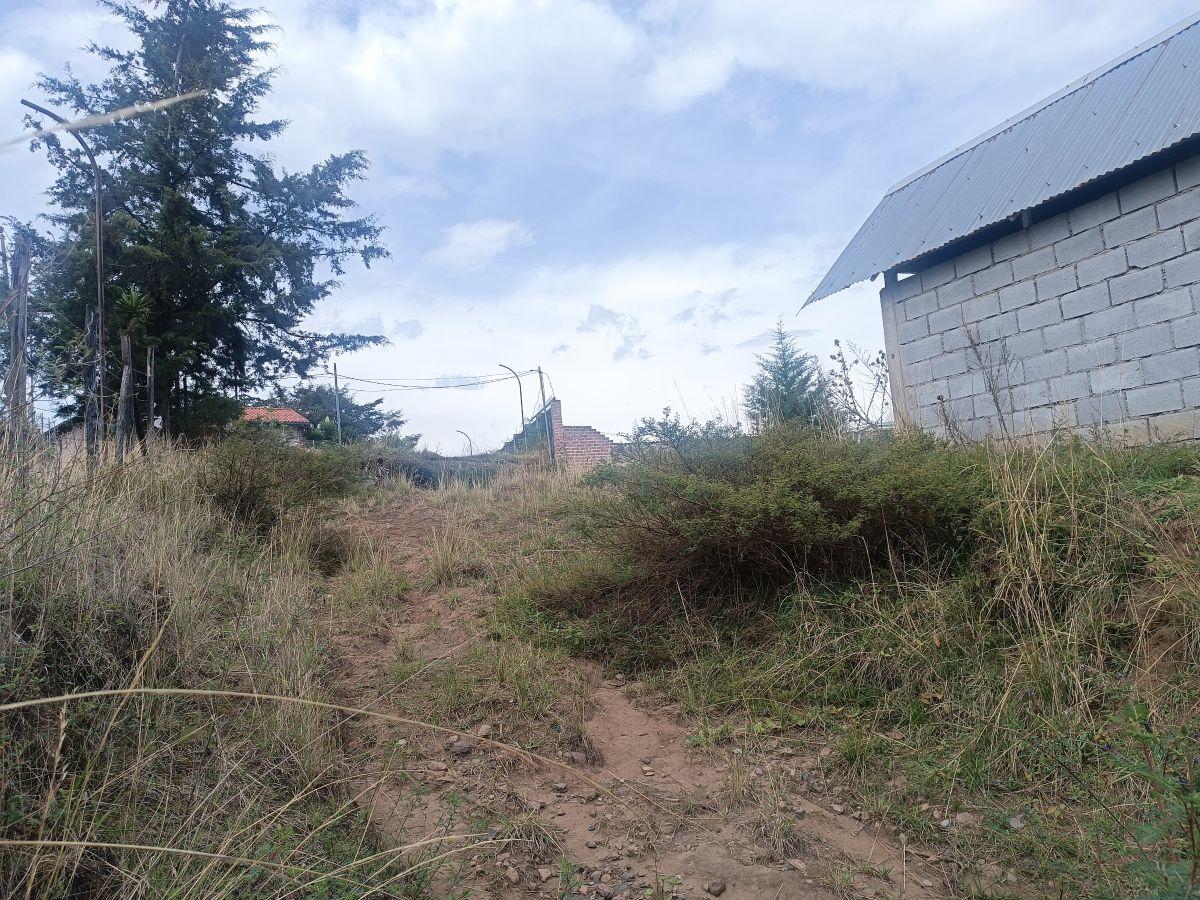 Vendo Terreno de 1000 m en La Isla Yaruqui — imagen 8