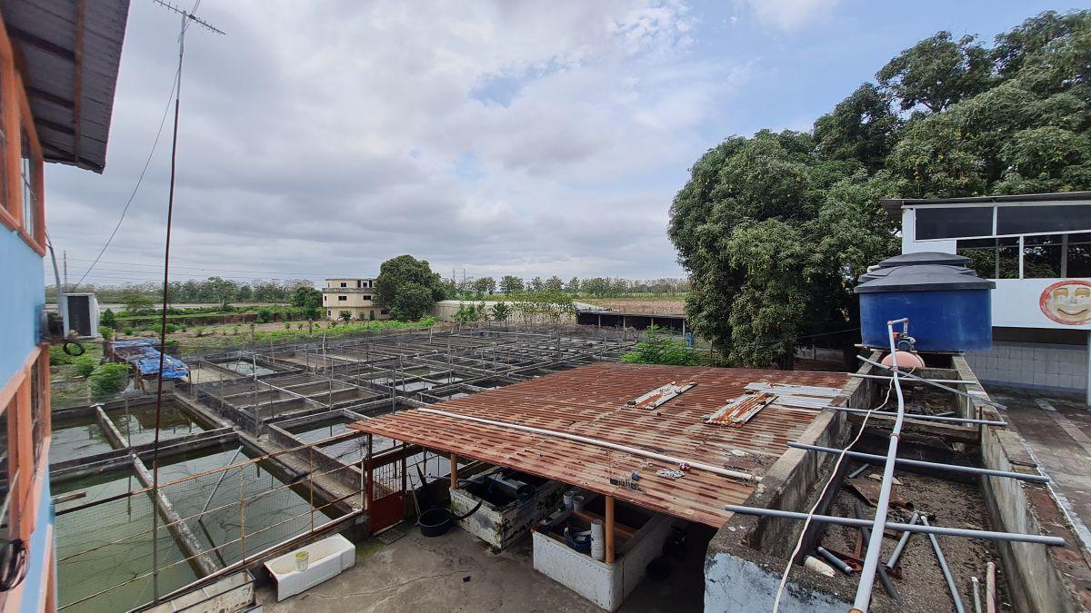 Terreno Agrícola en Venta 8.5 Has Al Pie de Carretera - Naranjal, Sector El Mango, Guayas — imagen 9