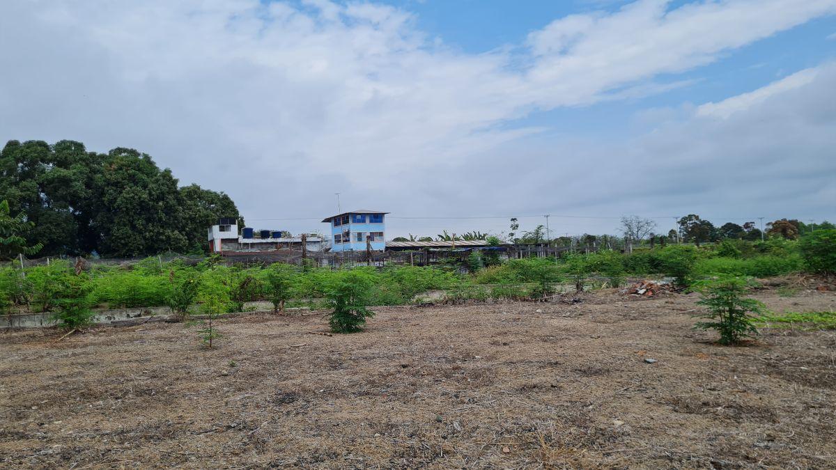 Terreno Agrícola en Venta 8.5 Has Al Pie de Carretera - Naranjal, Sector El Mango, Guayas — imagen 6