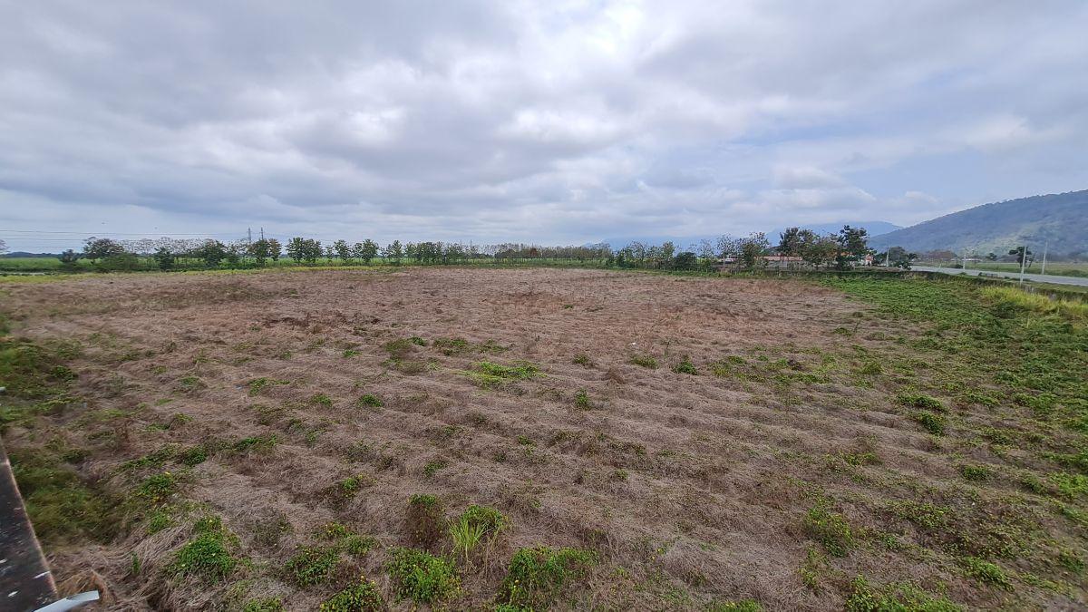 Terreno Agrícola en Venta 8.5 Has Al Pie de Carretera - Naranjal, Sector El Mango, Guayas — imagen 5