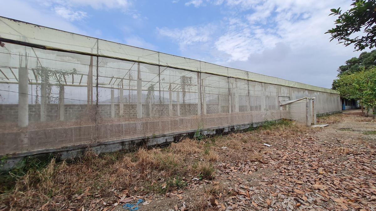 Terreno Agrícola en Venta 8.5 Has Al Pie de Carretera - Naranjal, Sector El Mango, Guayas — imagen 3