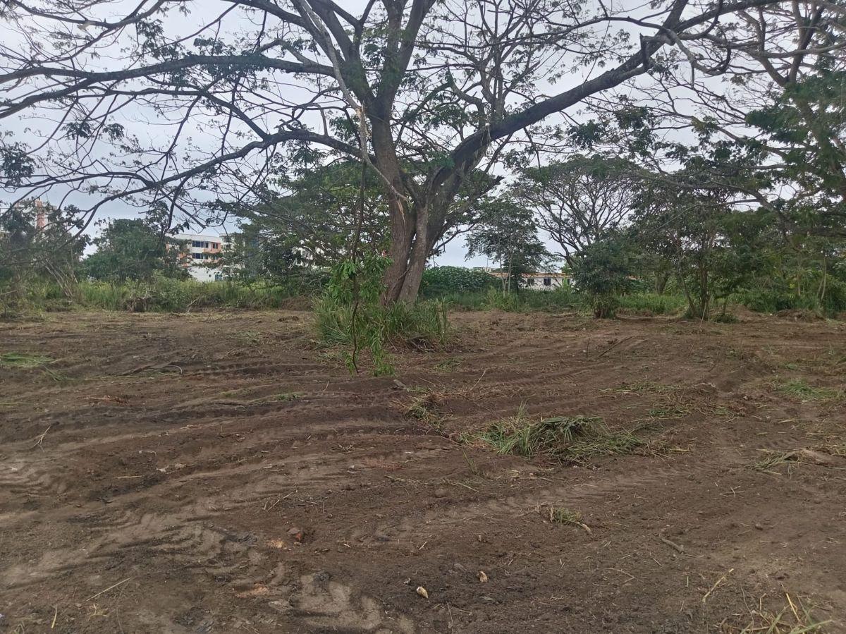 Terreno de 750 m² en Venta Muy Cerca Al Club del Pacífico. Provincia de Esmeraldas — imagen 6