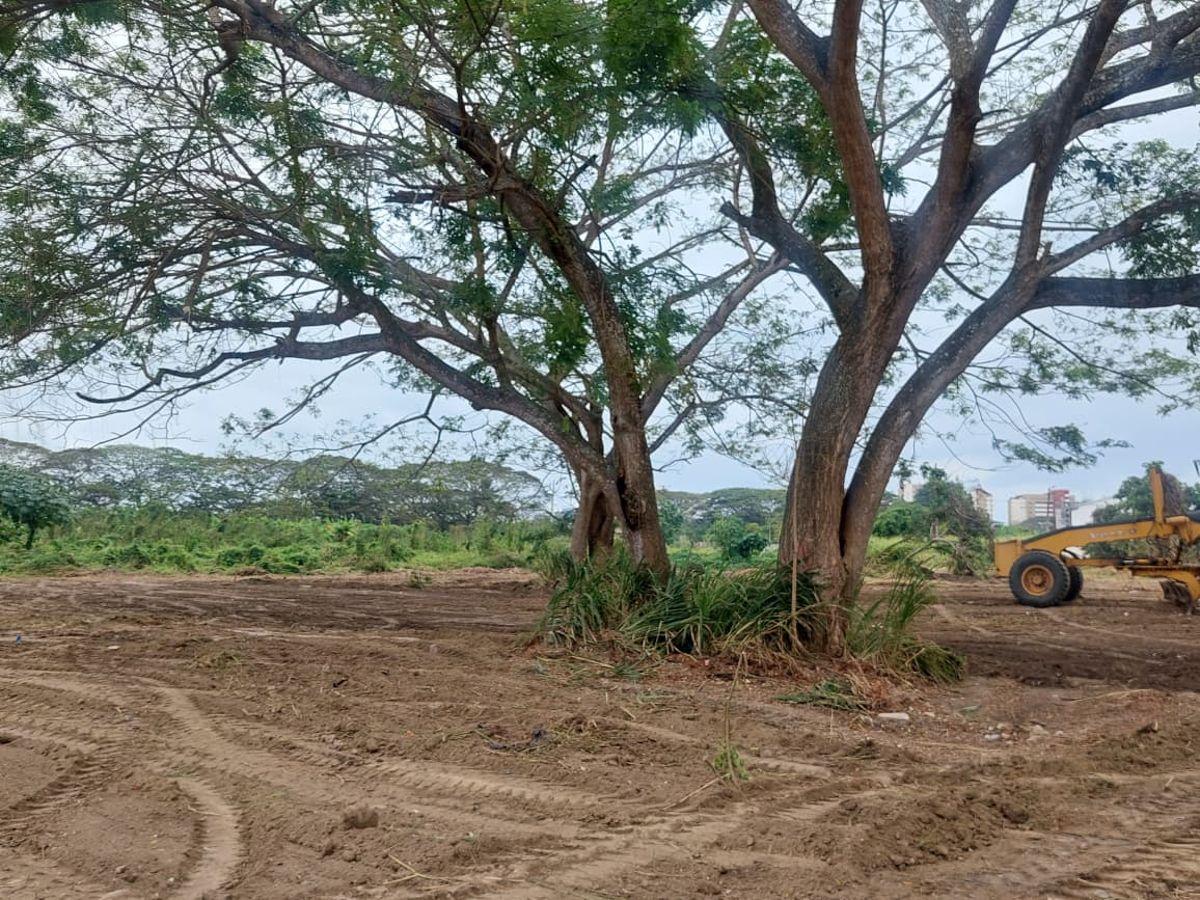 Terreno de 750 m² en Venta Muy Cerca Al Club del Pacífico. Provincia de Esmeraldas — imagen 5