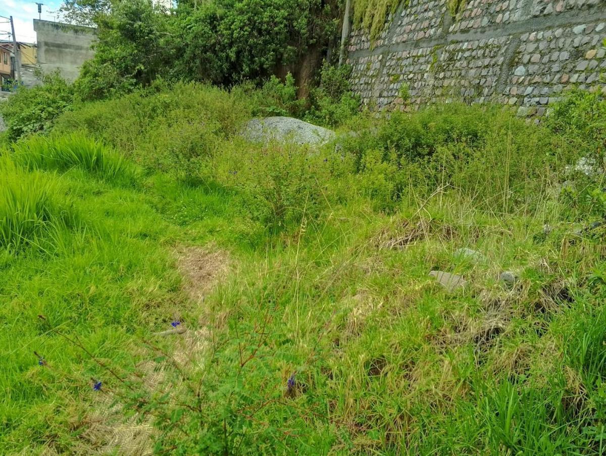 Terreno en Venta 484 m² — imagen 4