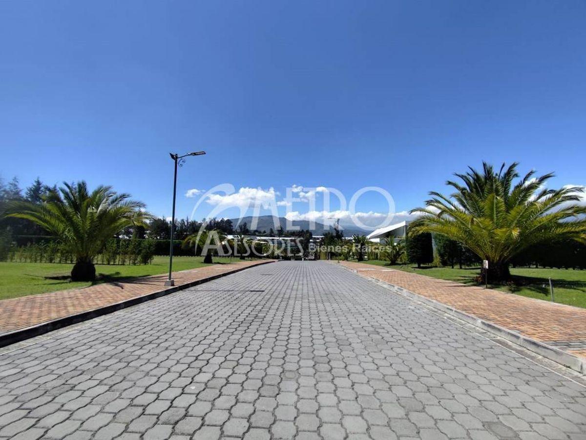 Terreno en Venta de 1246 m² en Puembo — imagen 9