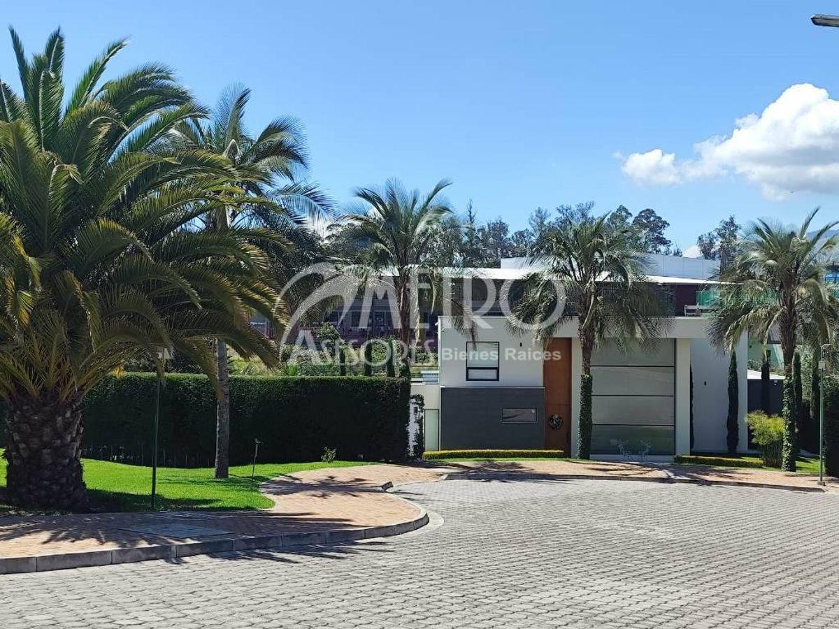 Terreno en Venta de 1246 m² en Puembo — imagen 7