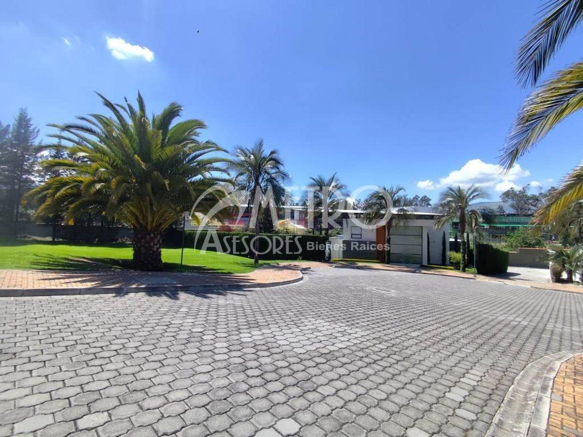 Terreno en Venta de 1246 m² en Puembo — imagen 5