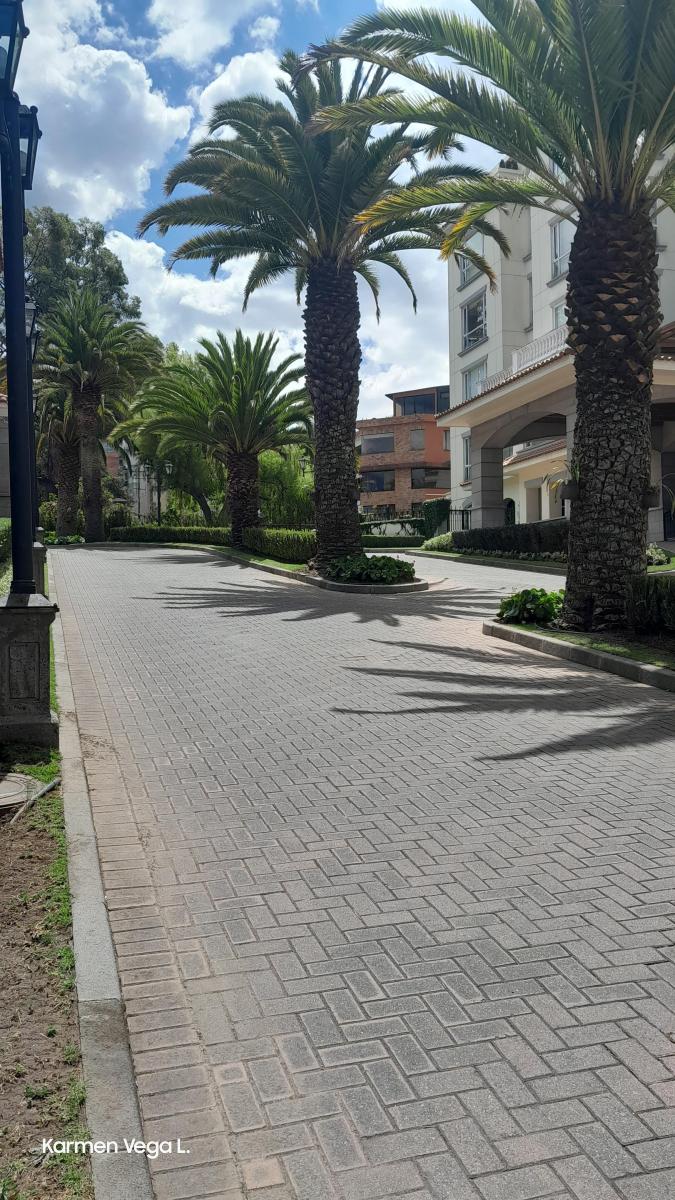 Oportunidad Villa Regina Departamento de Lujo de 350 m² con 3 Habitaciones en Venta y Arriendo — imagen 6