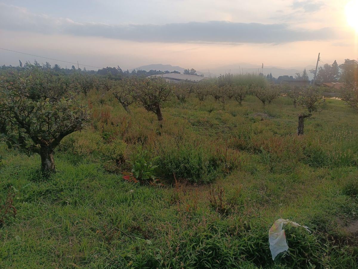 Vendo Excelente Terreno de 9700 m en Checa, con Todos Los Servicios — imagen 9