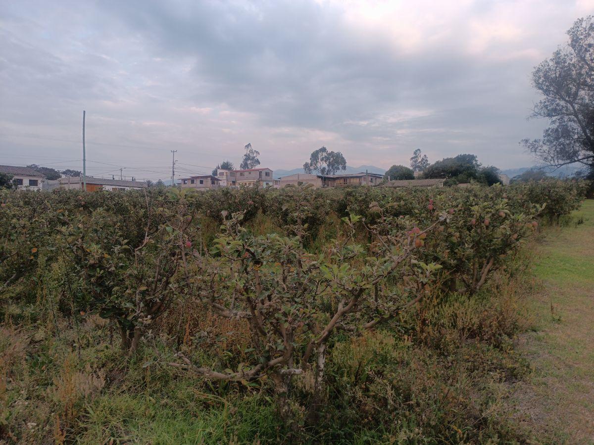 Vendo Excelente Terreno de 9700 m en Checa, con Todos Los Servicios — imagen 8