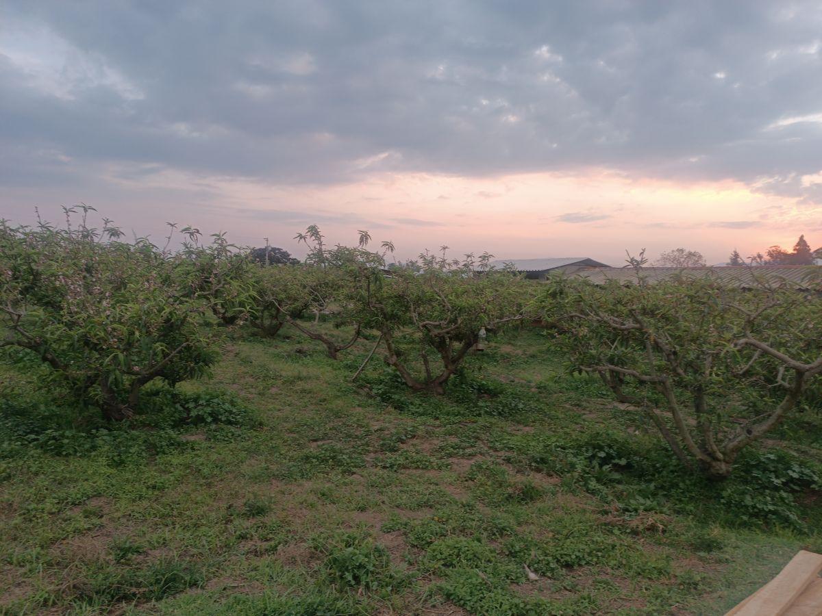 Vendo Excelente Terreno de 9700 m en Checa, con Todos Los Servicios — imagen 6