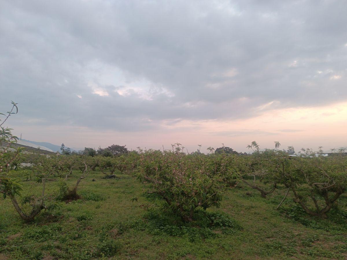 Vendo Excelente Terreno de 9700 m en Checa, con Todos Los Servicios — imagen 5