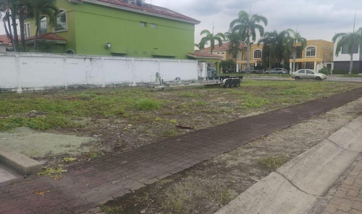 Venta Terreno Esquinero – Portofino – Alta Plusvalía – Vía a La Costa (Wn), Guayas — imagen 8