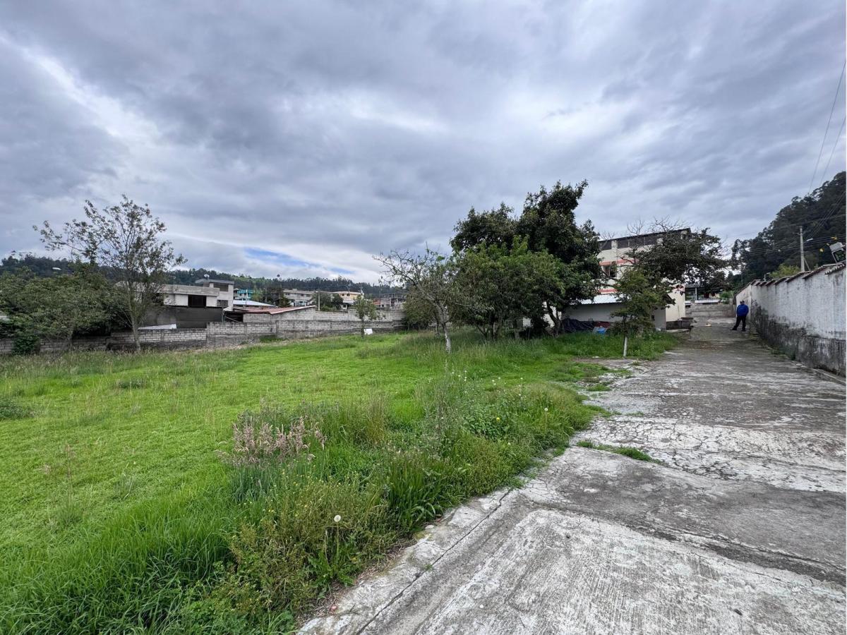 Terreno con Casa Sector, en Venta, San Fernando — imagen 8