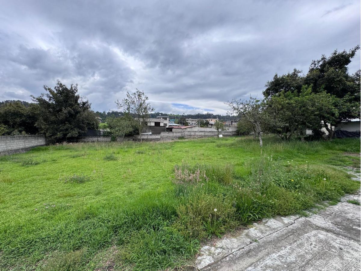 Terreno con Casa Sector, en Venta, San Fernando — imagen 7