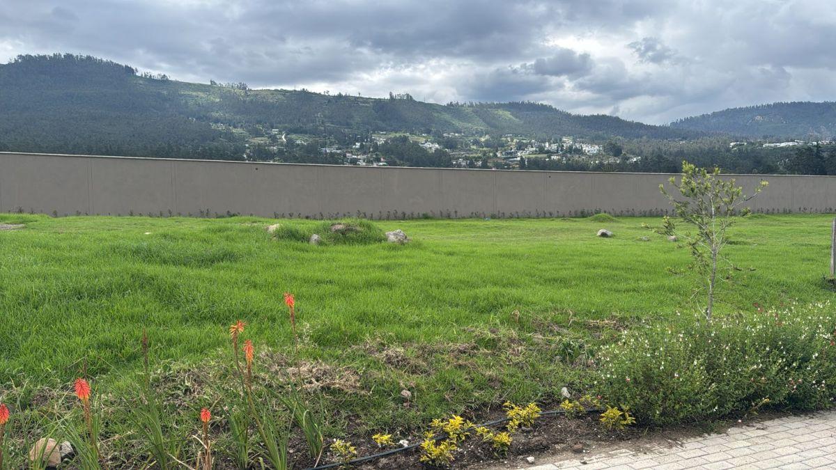 Lotes en Venta Sector San Patricio Cumbaya — imagen 6