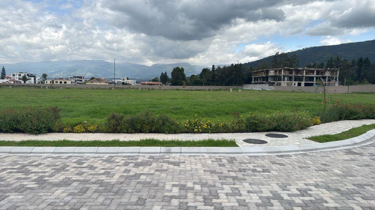 Lotes en Venta Sector San Patricio Cumbaya — imagen 4