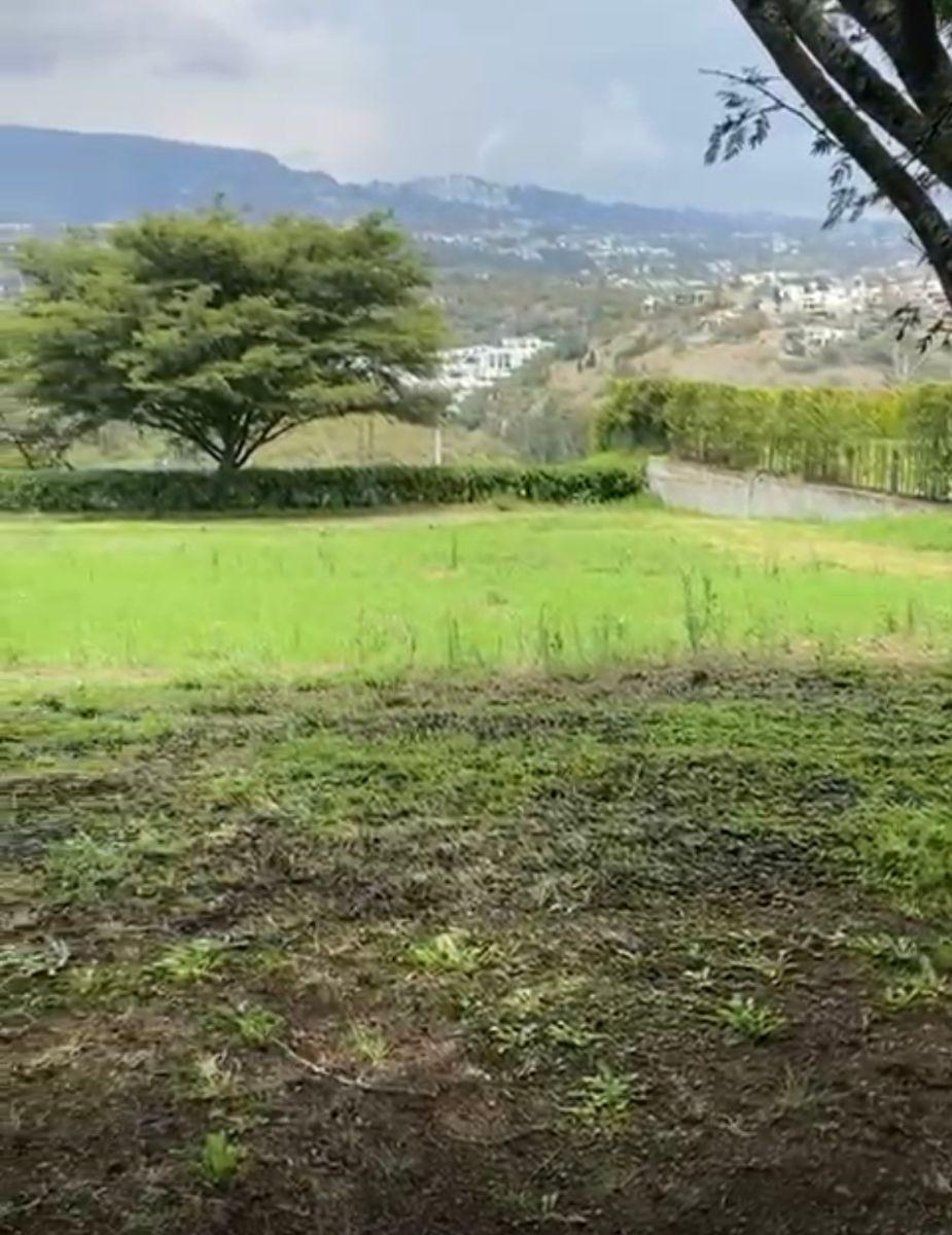 Vendo Lindo Terreno 1185 m Cumbaya Urb. Cerrada Laquinta $440.000 — imagen 10