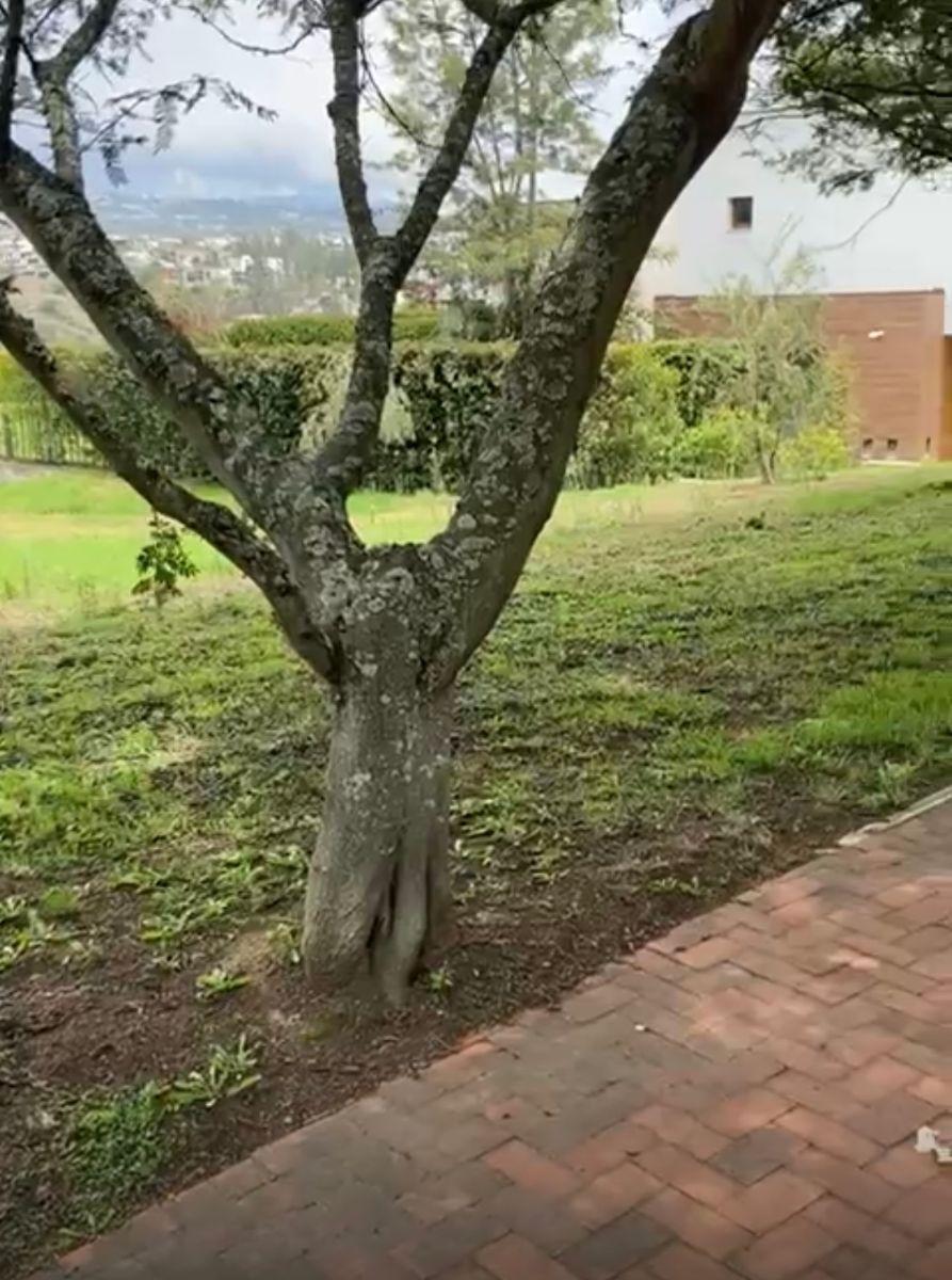 Vendo Lindo Terreno 1185 m Cumbaya Urb. Cerrada Laquinta $440.000 — imagen 9