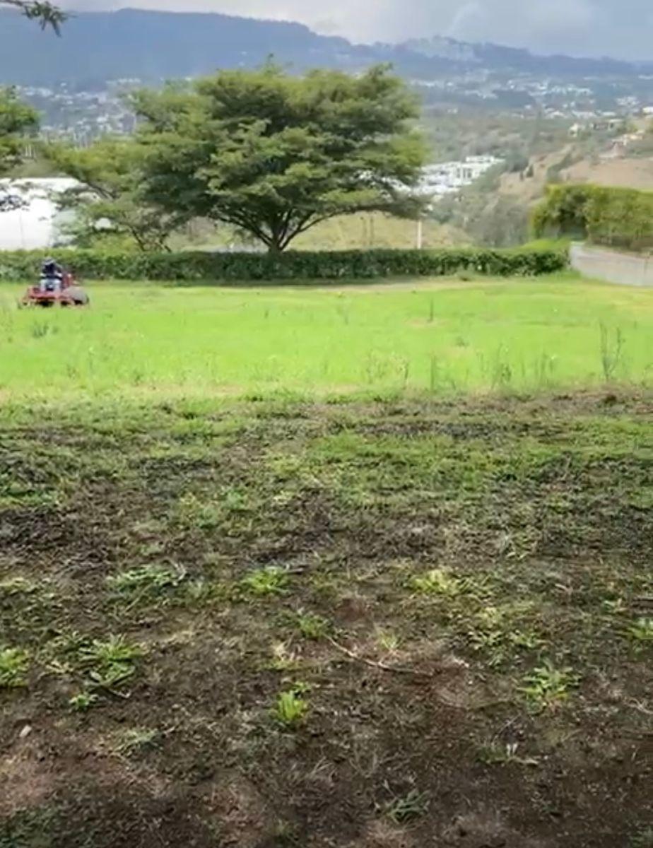 Vendo Lindo Terreno 1185 m Cumbaya Urb. Cerrada Laquinta $440.000 — imagen 6