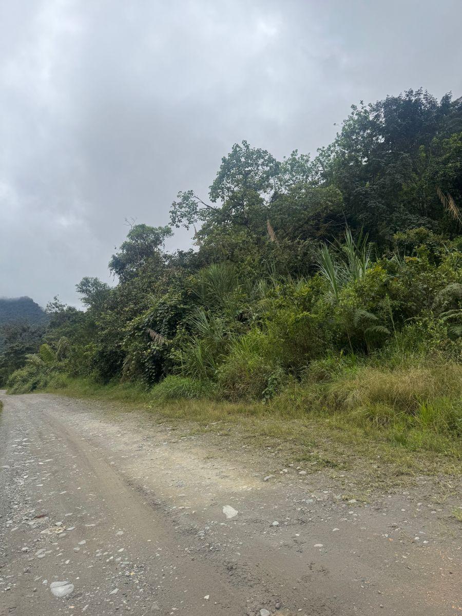 Terreno de Venta 1000 m² Vía Al Cinto a Saloya Mindo Logde — imagen 8