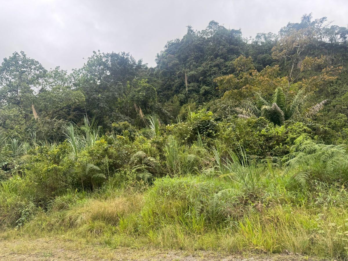 Terreno de Venta 1000 m² Vía Al Cinto a Saloya Mindo Logde — imagen 7