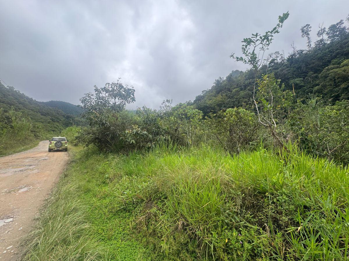Terreno de Venta 1000 m² Vía Al Cinto a Saloya Mindo Logde — imagen 6