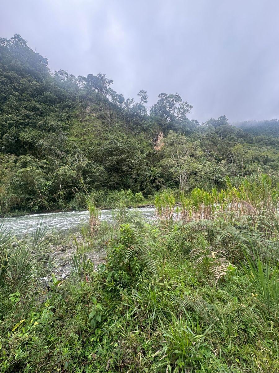 Terreno de Venta 1000 m² Vía Al Cinto a Saloya Mindo Logde — imagen 3