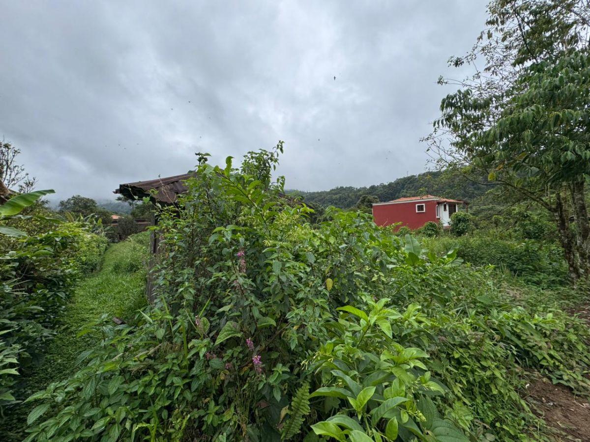 Terreno de Venta 1375 m² Dentro de Urbanización Yaguira Mindo — imagen 8