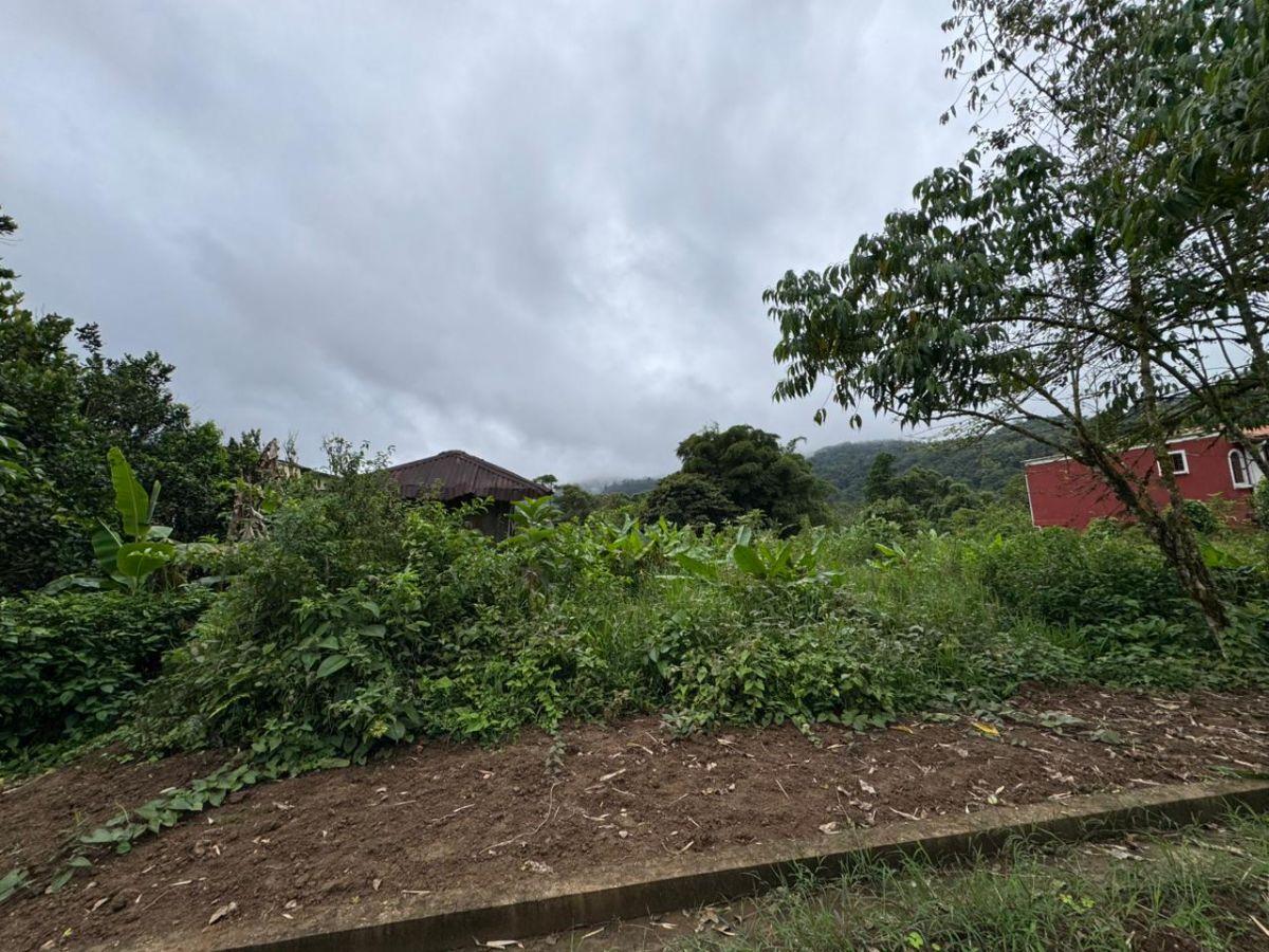 Terreno de Venta 1375 m² Dentro de Urbanización Yaguira Mindo — imagen 7