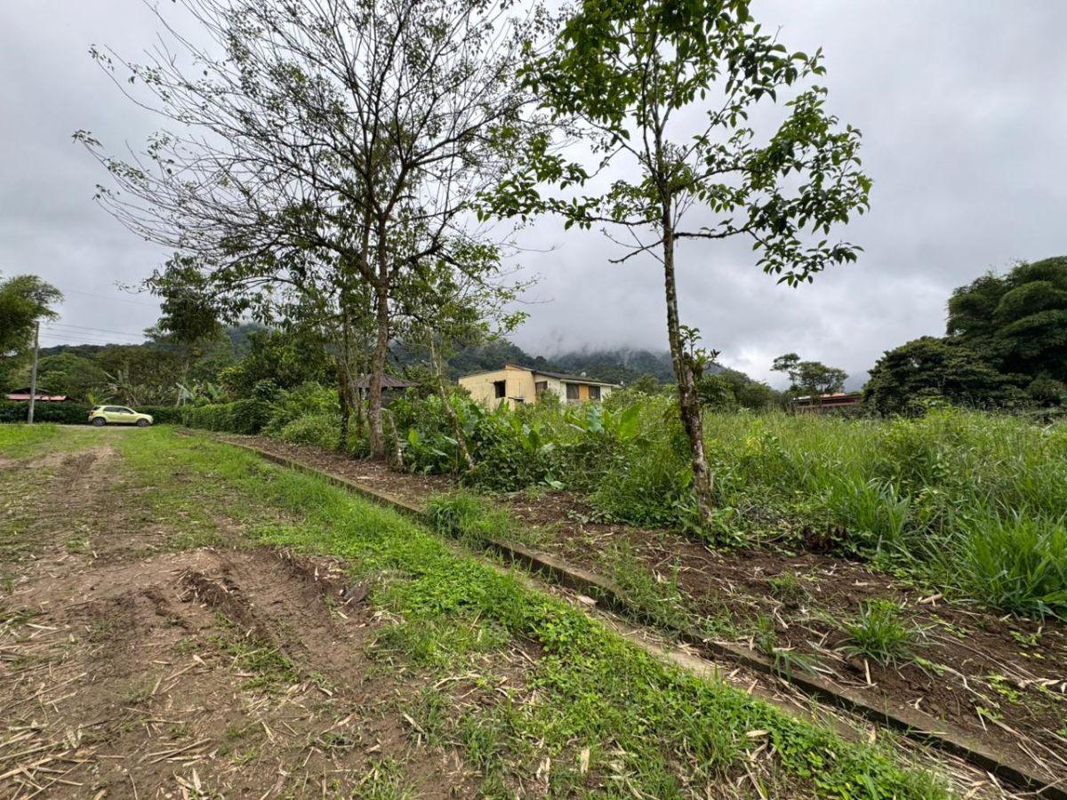 Terreno de Venta 1375 m² Dentro de Urbanización Yaguira Mindo — imagen 6