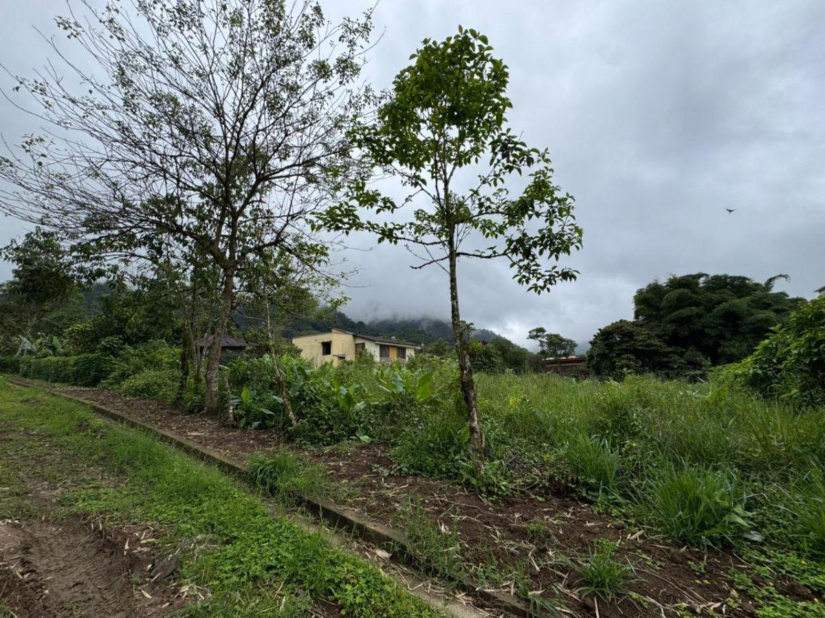 Terreno de Venta 1375 m² Dentro de Urbanización Yaguira Mindo — imagen 5