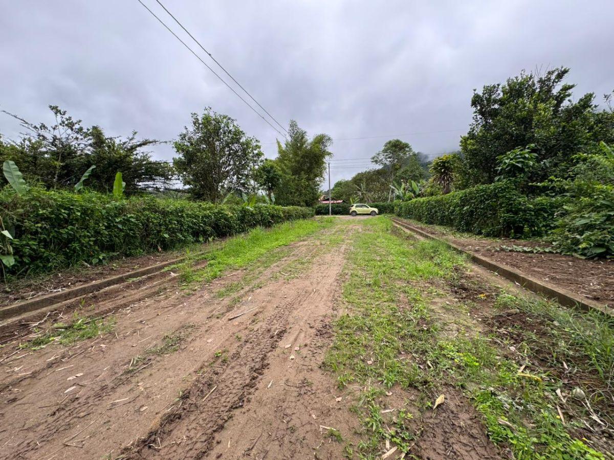 Terreno de Venta 1375 m² Dentro de Urbanización Yaguira Mindo — imagen 4