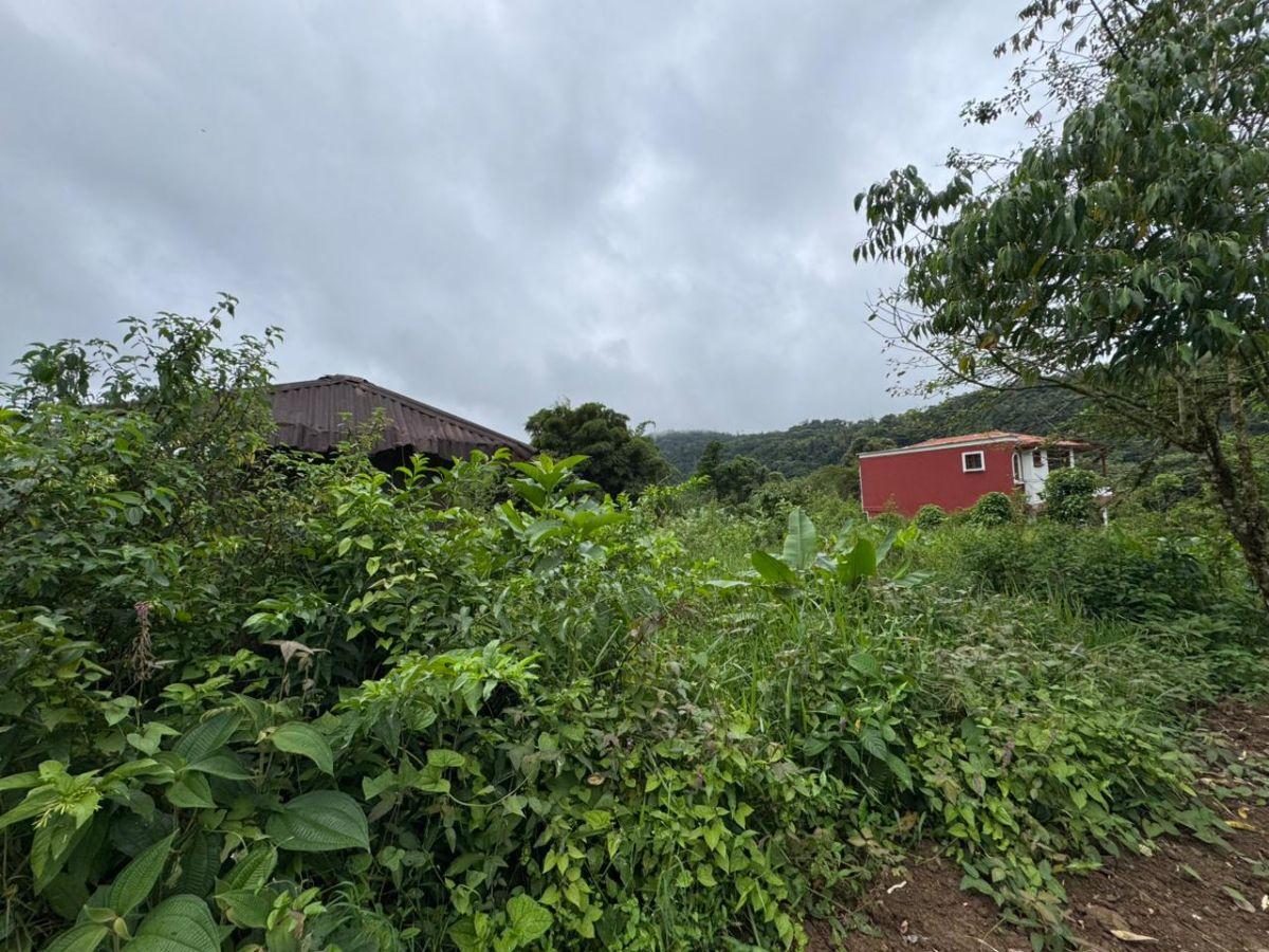Terreno de Venta 1375 m² Dentro de Urbanización Yaguira Mindo — imagen 3