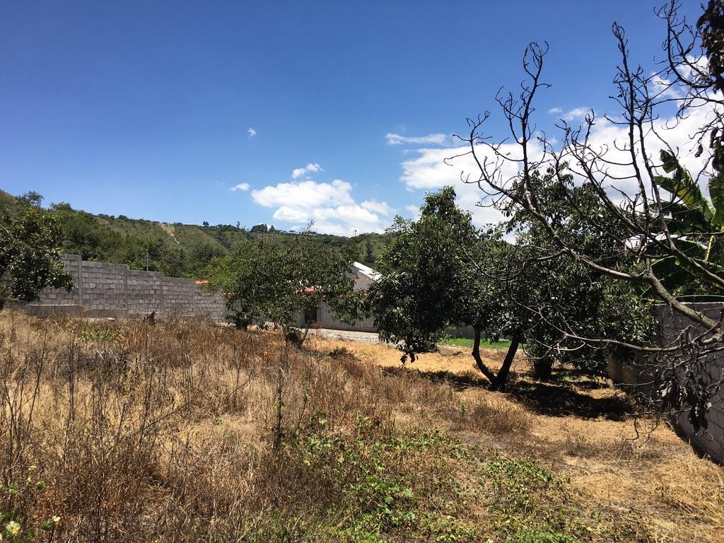 Jal. Venta Terreno Guayllabamba 750 m² en Cebauco, Cerca Al Zoológico — imagen 8