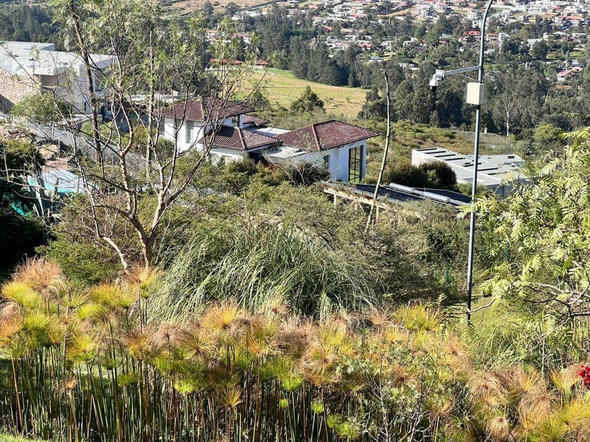 Terrenos en Venta Urbanizacion Privada en Tumbaco — imagen 5