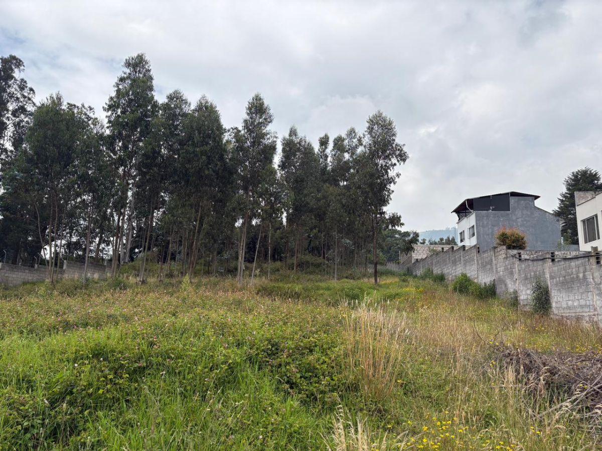 Vendo Terreno en La Macarena II, Conocoto, Quito — imagen 8