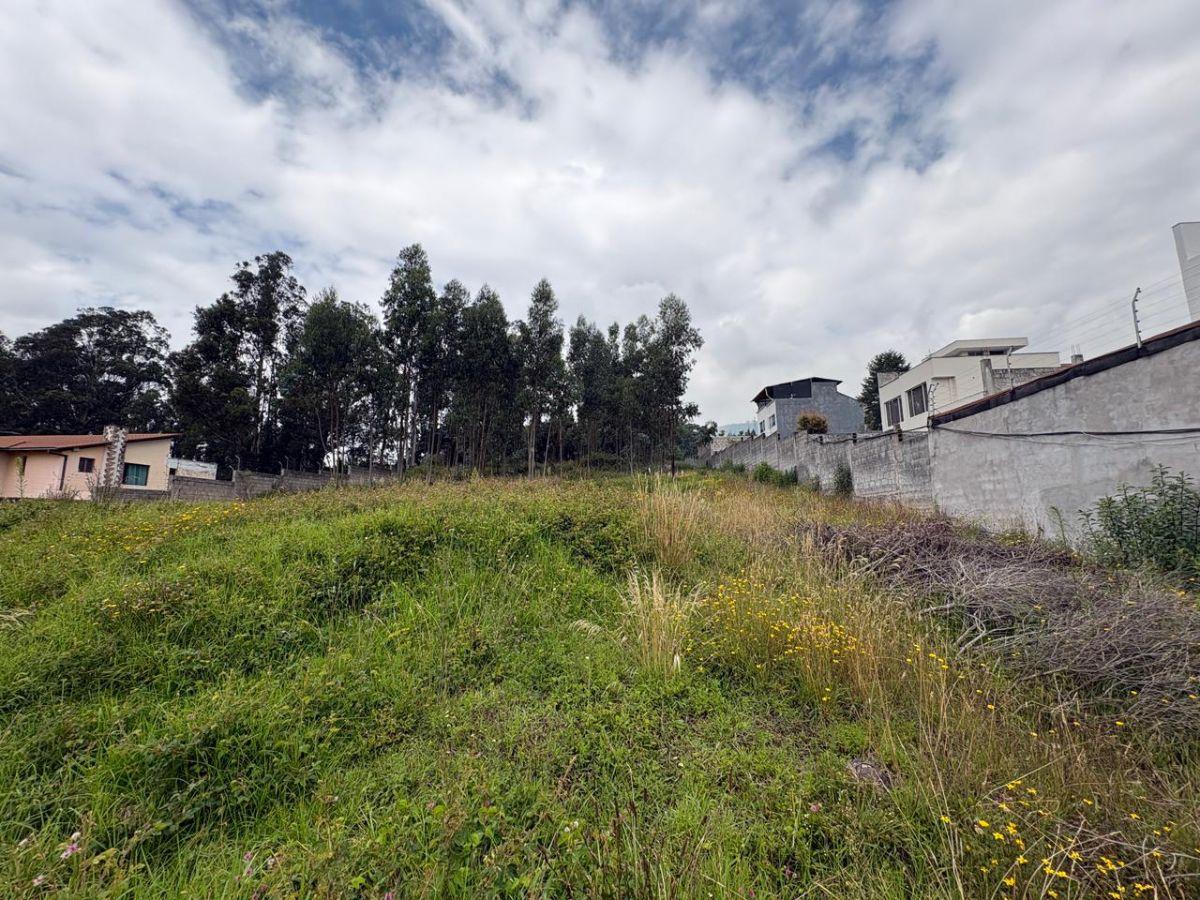 Vendo Terreno en La Macarena II, Conocoto, Quito — imagen 7